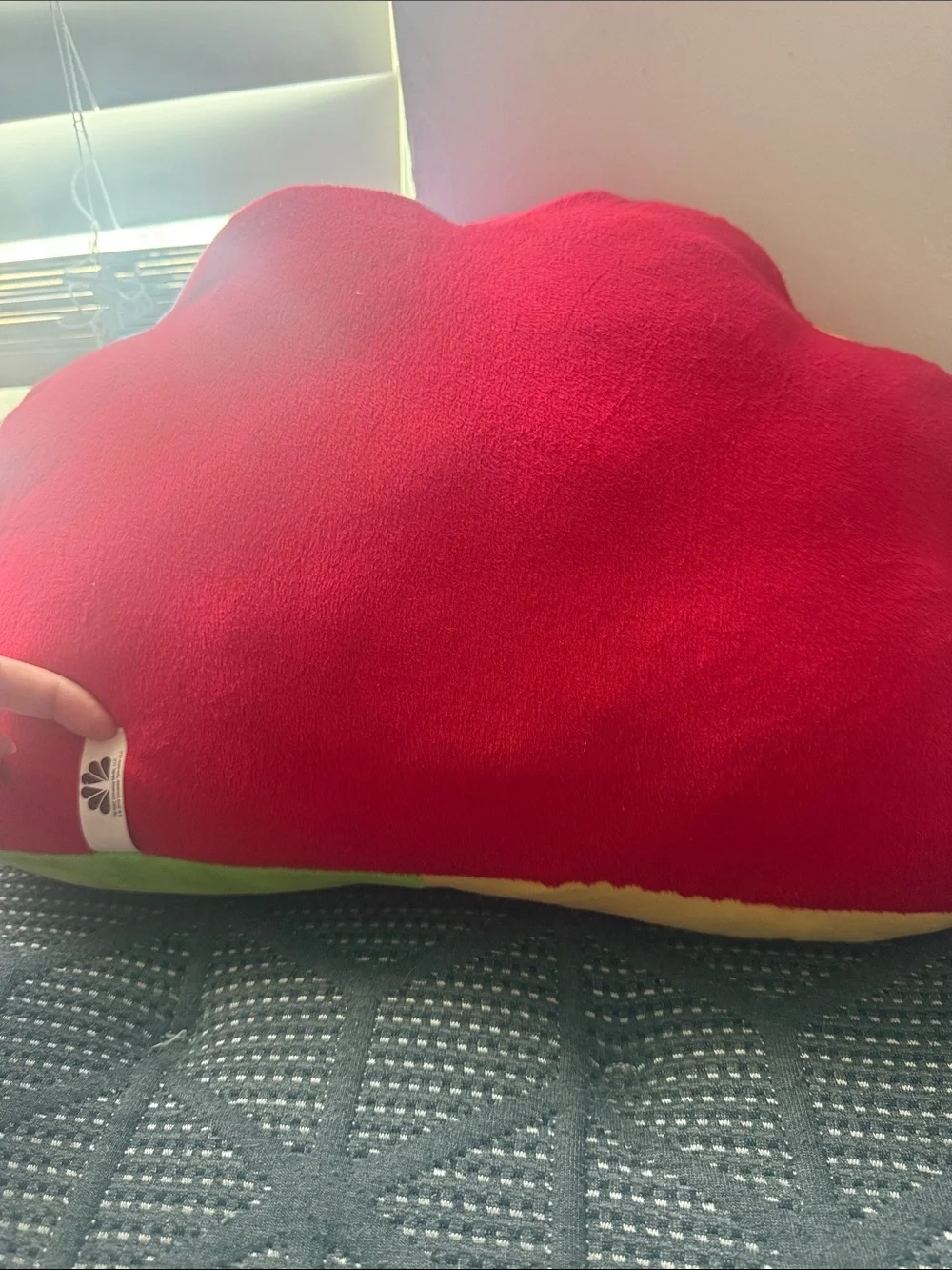 NBC Peacock pillow